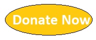 Donate using PAYPAL button